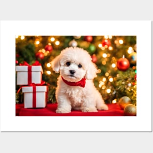 Bichon Frise Puppy with Christmas Gifts Posters and Art